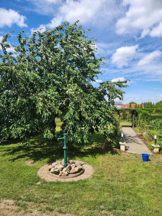 Neumuehler Hof Ferienwohnung "Stefan" Bietet 4 Schlafzimmer Und 4 Baeder , Eine Grosse Badewanne Und Grosser Terrasse Zum Garten, Kostenfreie Parkmoeglichkeiten Schwerin  Exterior foto