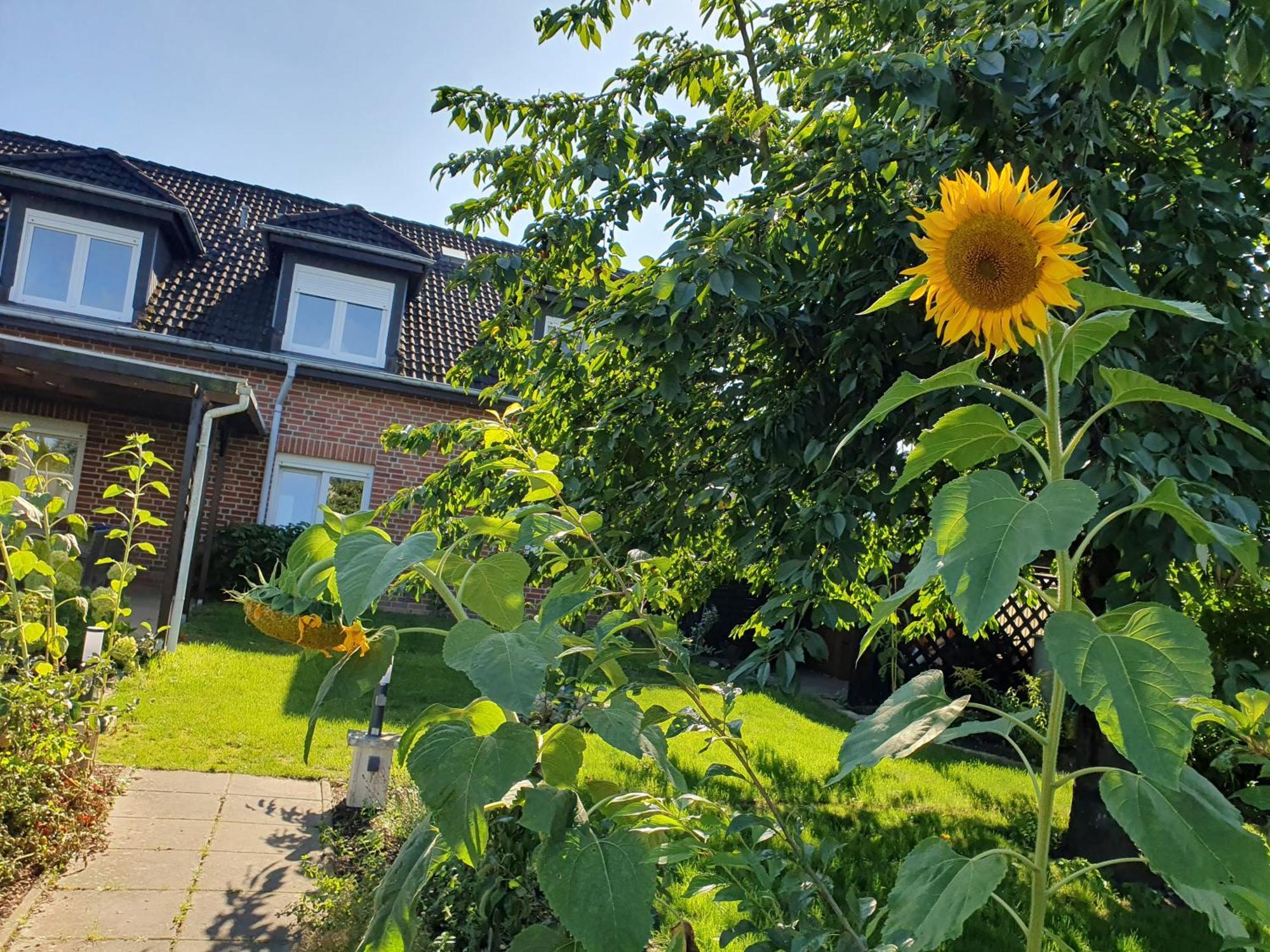 Neumuehler Hof Ferienwohnung "Stefan" Bietet 4 Schlafzimmer Und 4 Baeder , Eine Grosse Badewanne Und Grosser Terrasse Zum Garten, Kostenfreie Parkmoeglichkeiten Schwerin  Exterior foto